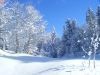 1343324_snow_landscape