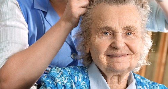 Home Care Agency 247